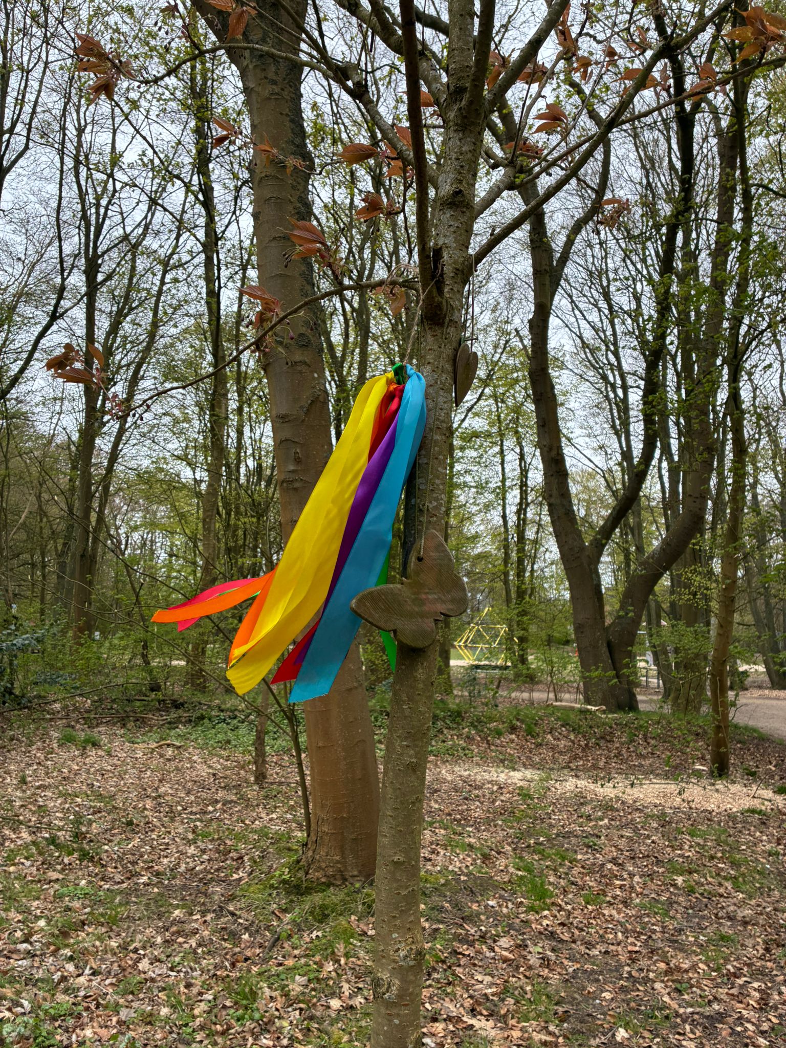 Himmelsbäume Föhr